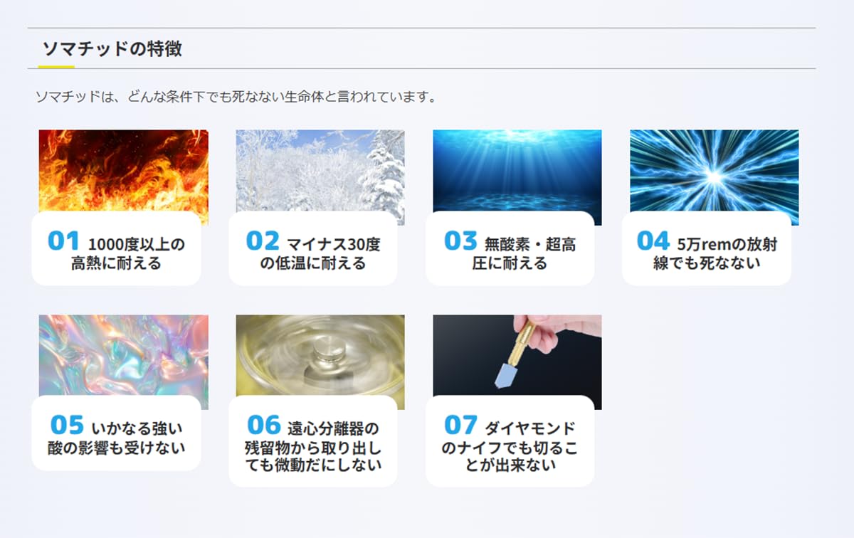Amazon.co.jp: 奇跡の鉱石 ソマチ ソマチッド を豊富に含んだ鉱石 粉